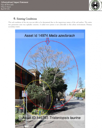 Preparing Arboricultural Impact Statements is one of our services at HA-BRA-CUL-CHA